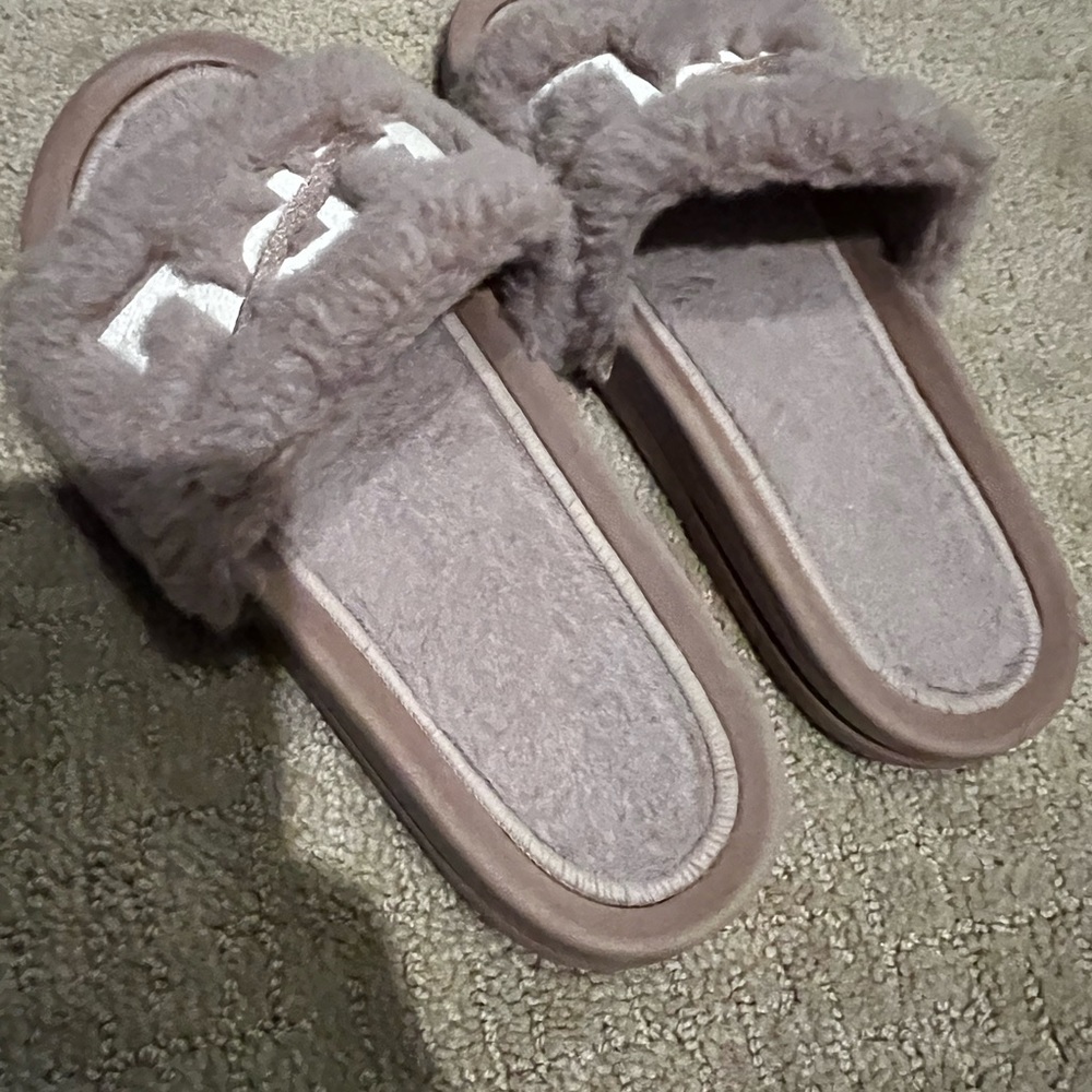 Apl Slides - image 2